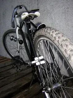 DSCN5445.webp