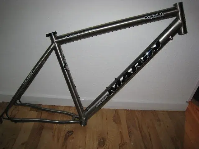 Marin11.webp
