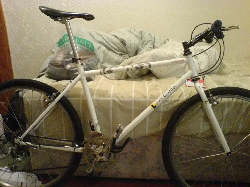 DSC00763 (Medium).webp