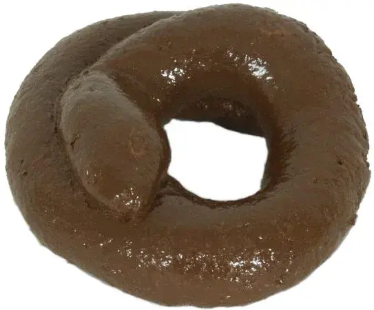 round-turd-big.webp