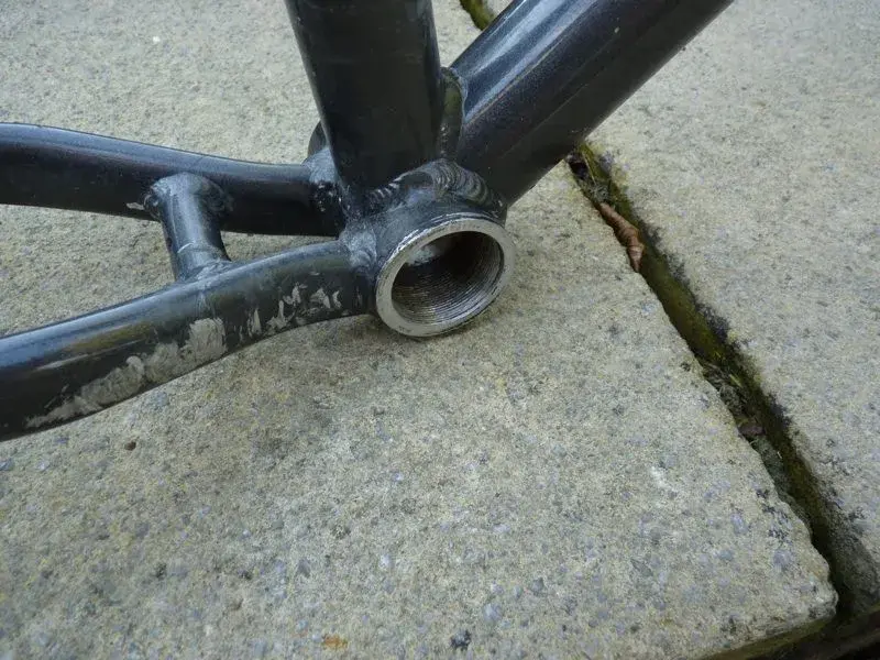 trek6.webp