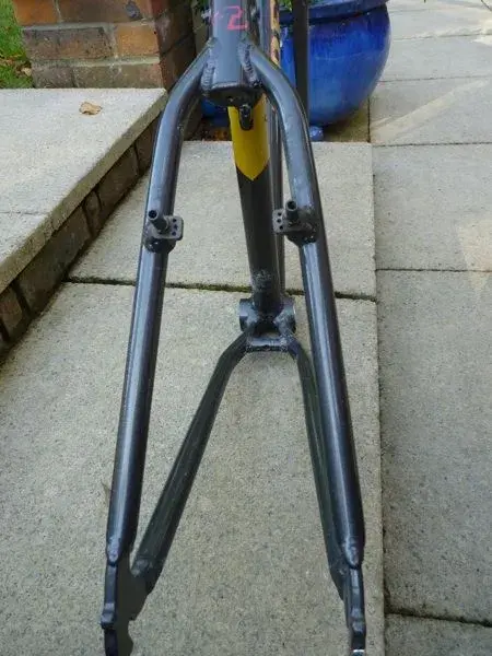 trek5.webp