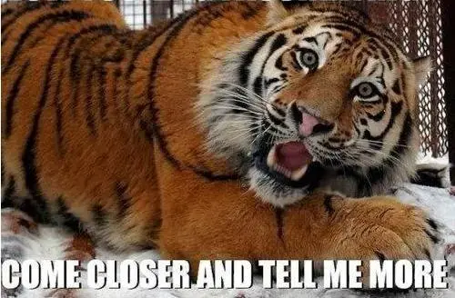 scary-tiger.webp