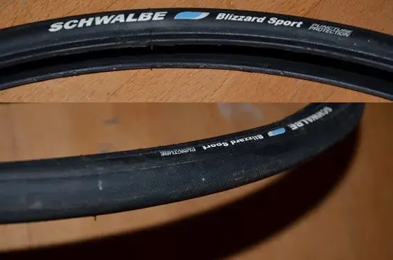 Schwalbe.webp