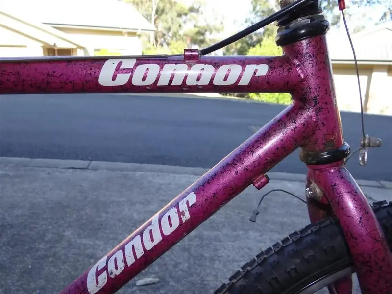 Vintage MTB 027 (Large).webp