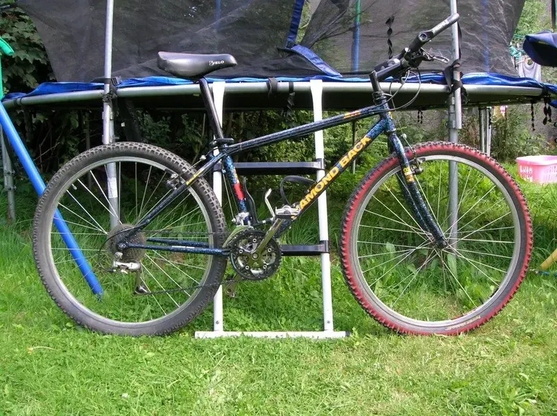 diamondback axis 1992.webp