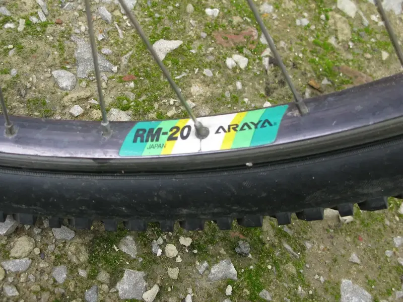 MS Racing 4.webp