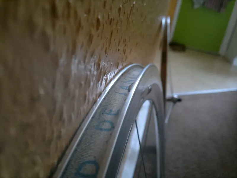 2012-10-11-294.webp