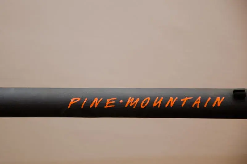 pineM logo.webp