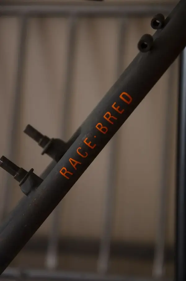 racebred.webp