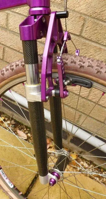 sbikepurple 015.webp