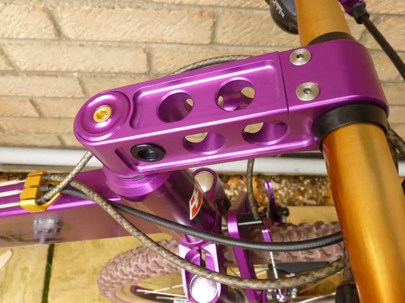 sbikepurple 018.webp