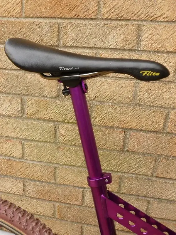 sbikepurple 021.webp