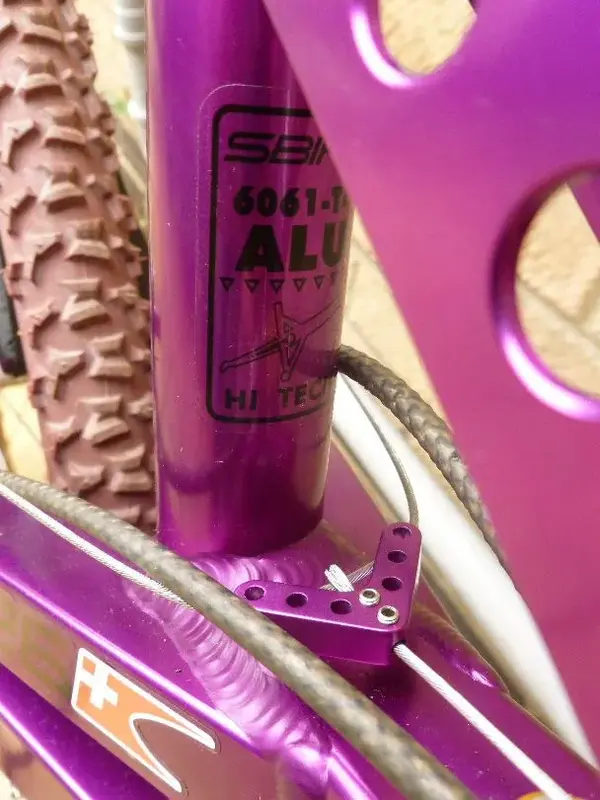 sbikepurple 022.webp