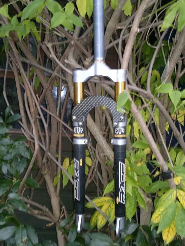 xtr 003.webp