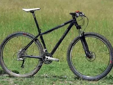 on one scandal 29er.webp