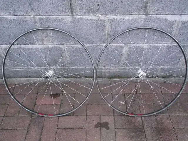 DSCF2207.webp