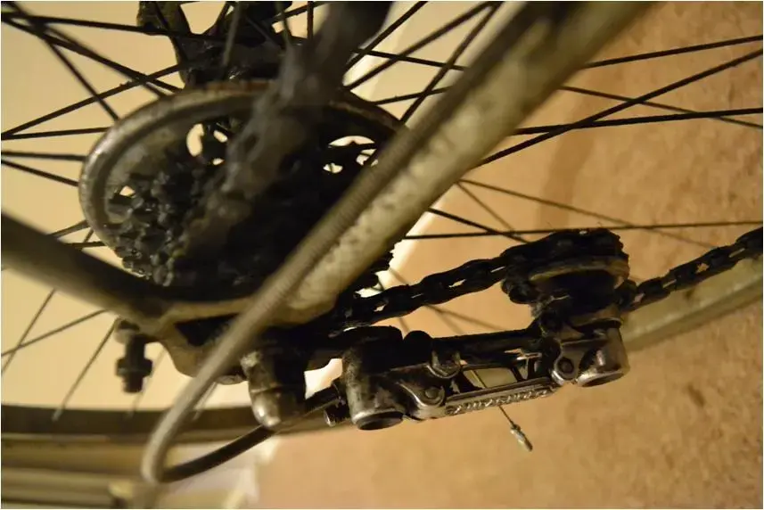 bike pics 2 compress 5.webp