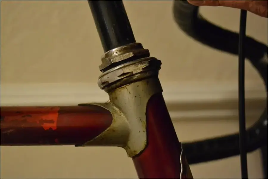 bike pics 2 compress 1.webp