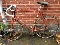 Ti Raleigh.webp