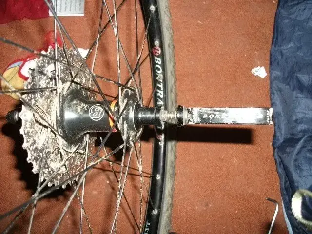 DSCF2224.webp