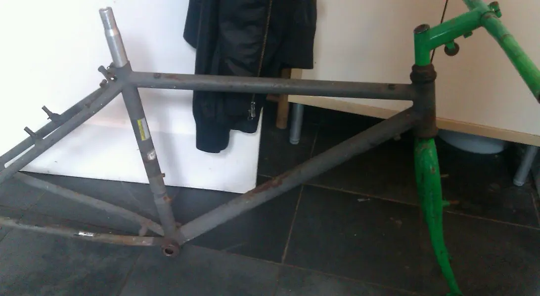 IMAG1576-1.webp