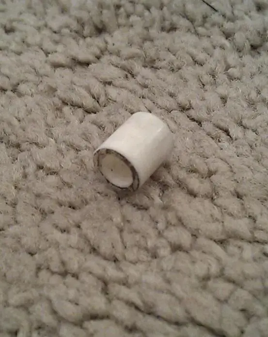 IMAG4820-1.webp