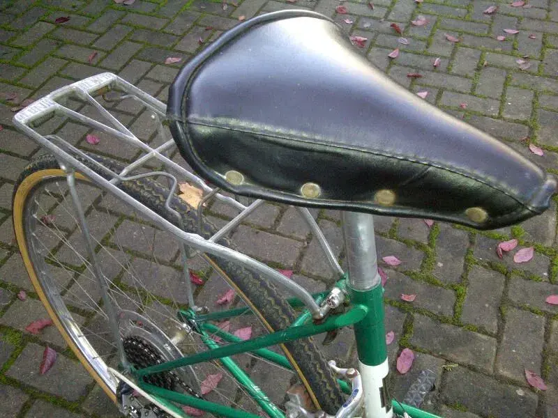 Raleigh 5.webp