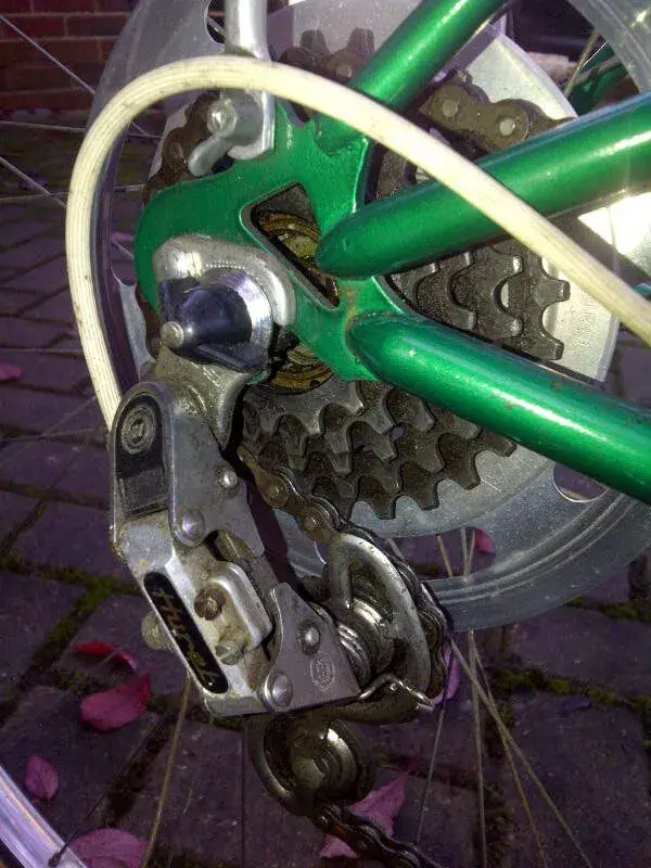 Raleigh 3.webp