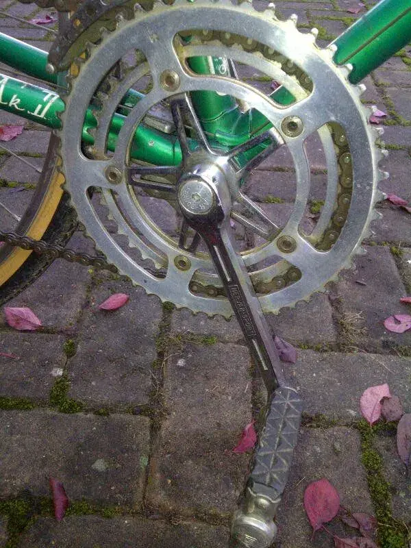 Raleigh 2.webp