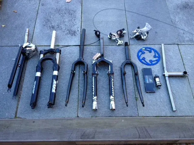 todays catch.webp