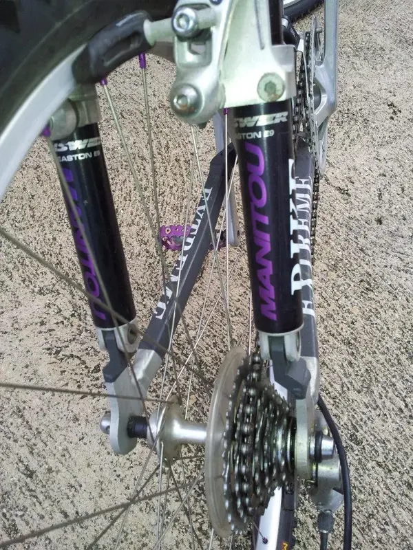 rear.webp