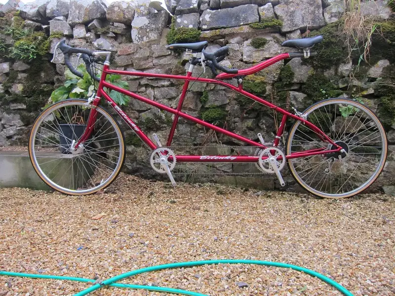 our bikes Aug 2012 0142.webp