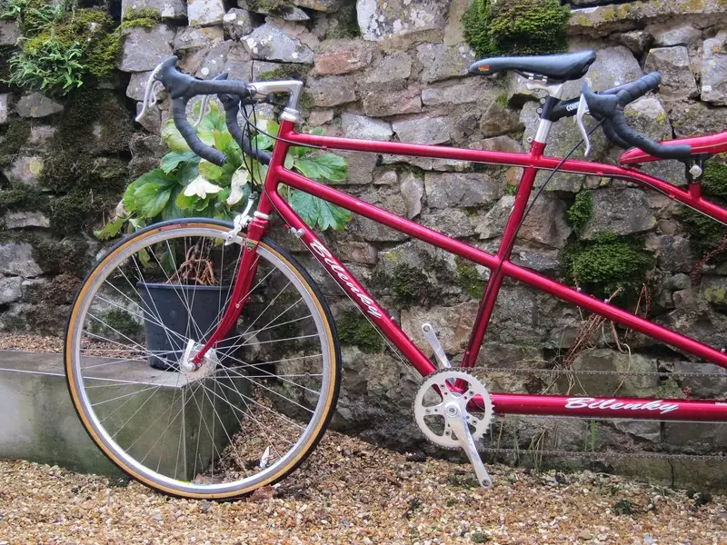 our bikes Aug 2012 0192.webp