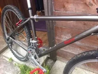 bicycle4.webp