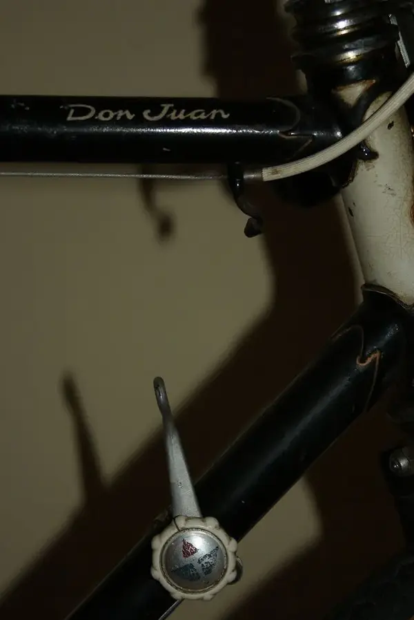 DSC00250.webp