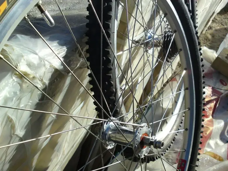 DSC00922 (Medium).webp