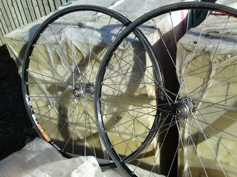 DSC00917 (Medium).webp