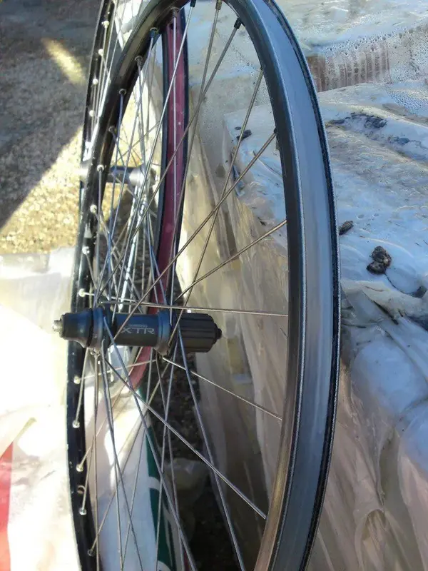 DSC00916 (Medium).webp