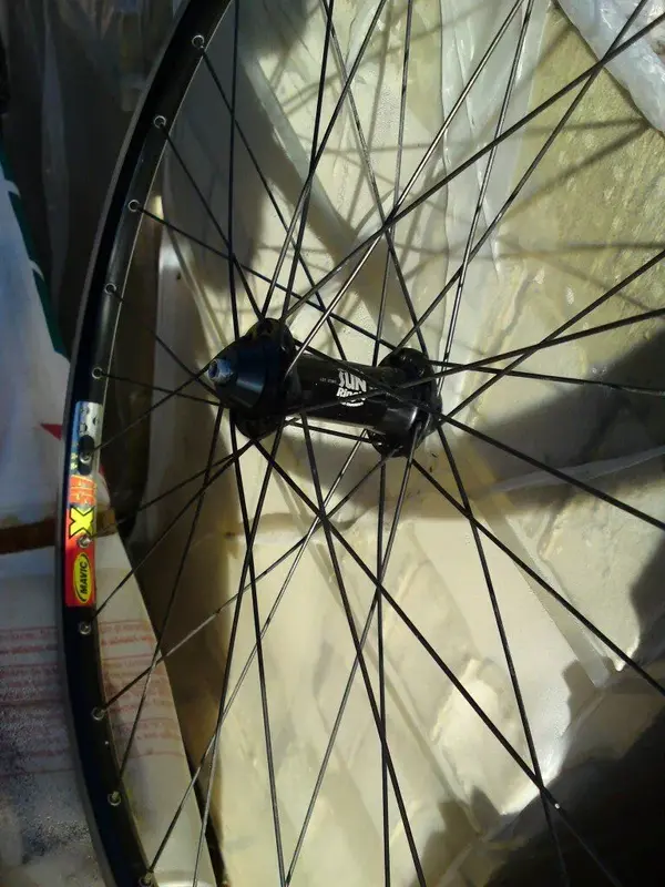 DSC00915 (Medium).webp