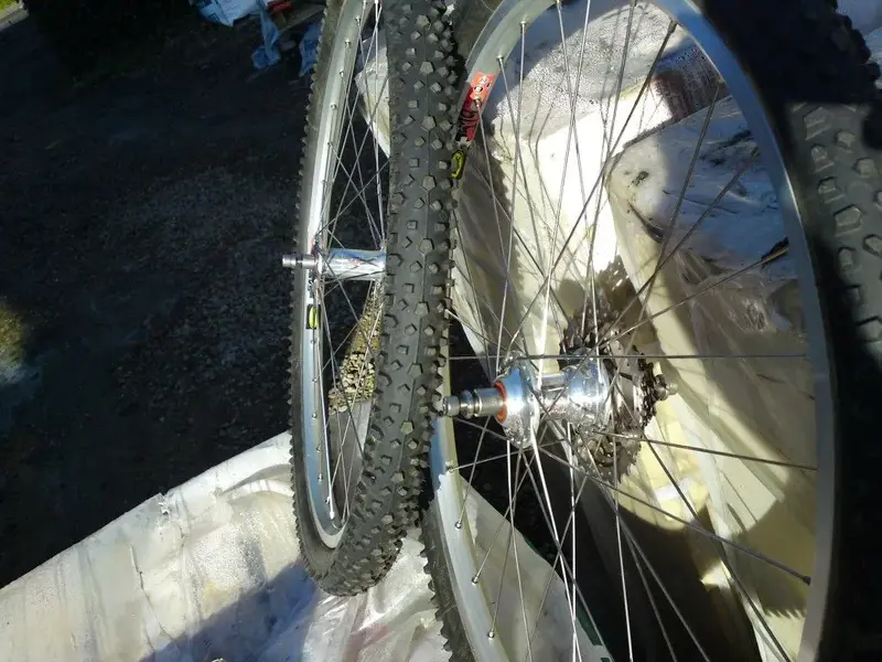 DSC00923 (Medium).webp
