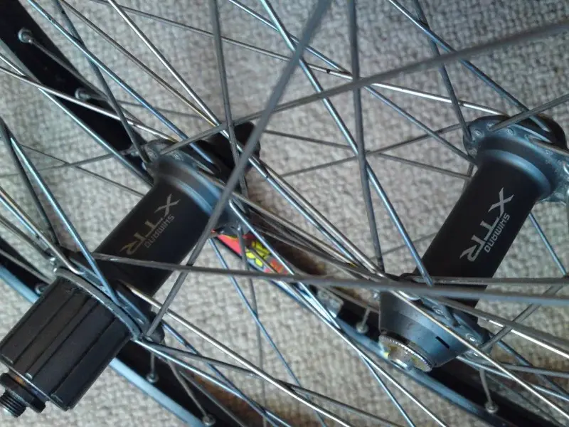 XTR (2) (Medium).webp