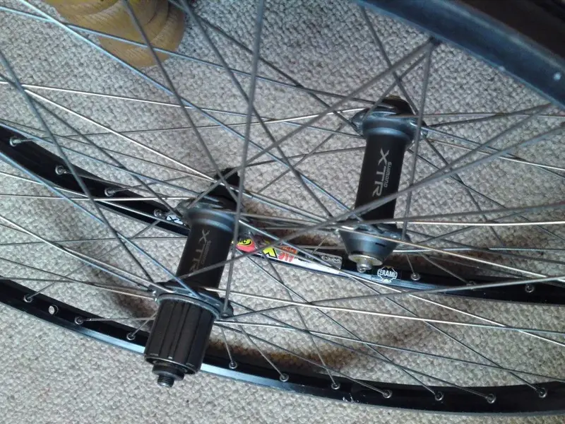 XTR (1) (Medium).webp