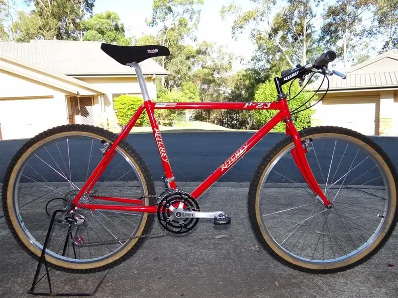Vintage MTB 007 (Large).webp
