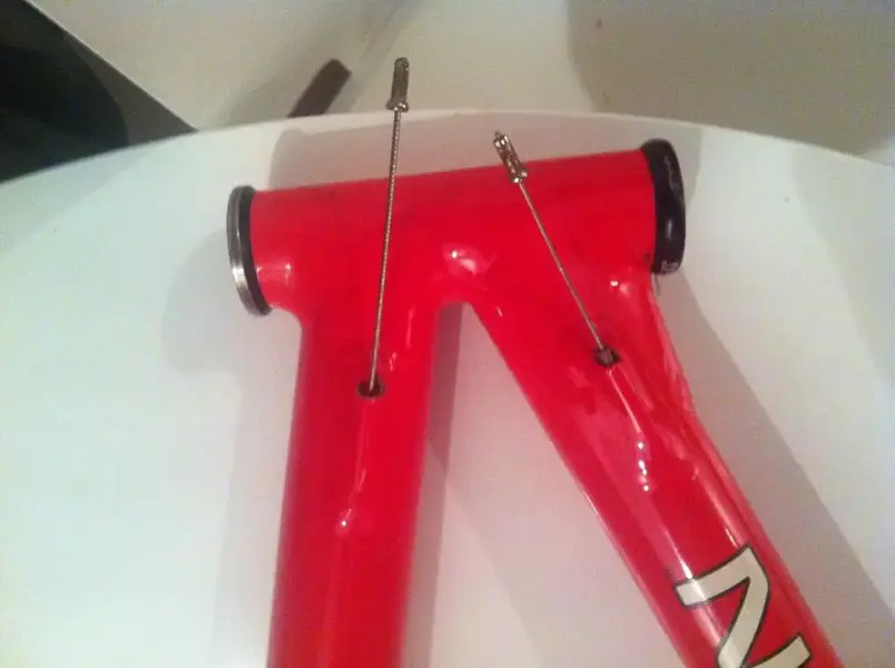red3.webp