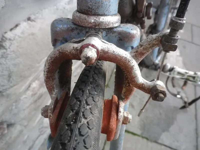 IMGP3014.webp