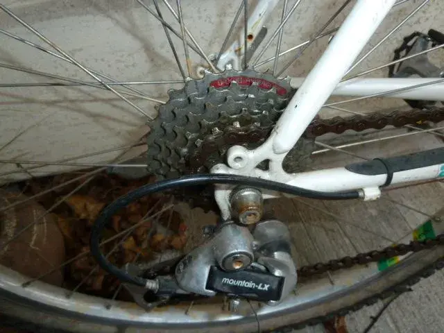 MS Racing Comp XT 002.webp