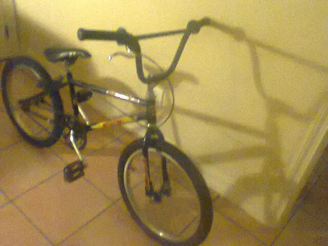 Photo0361.webp