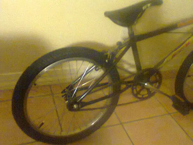 Photo0360.webp