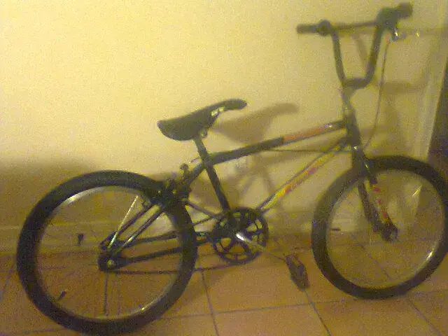 Photo0359.webp